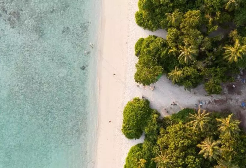 هتل Turtle Maldives