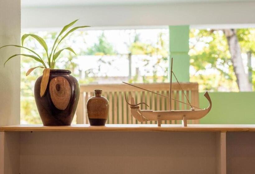 Otel Turtle Maldives