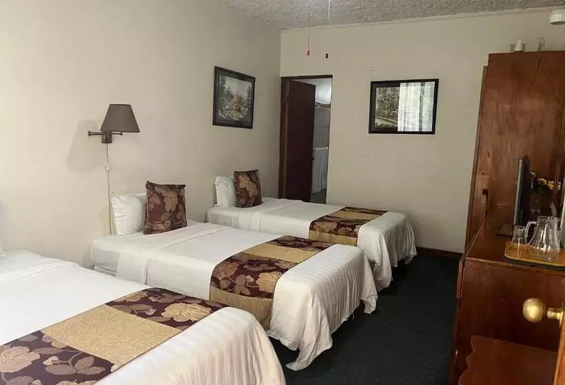 هتل Soluxe El Sesteo