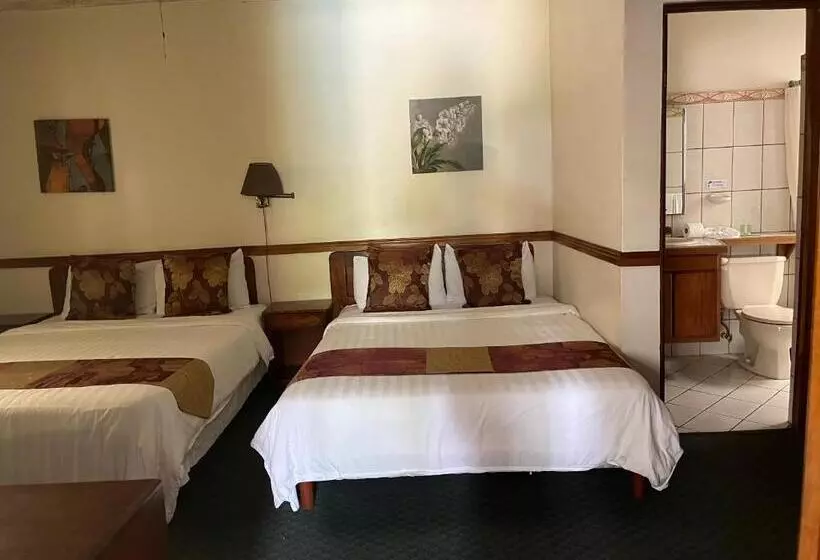 هتل Soluxe El Sesteo