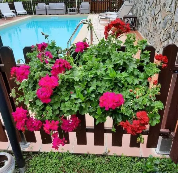B&b Vignola