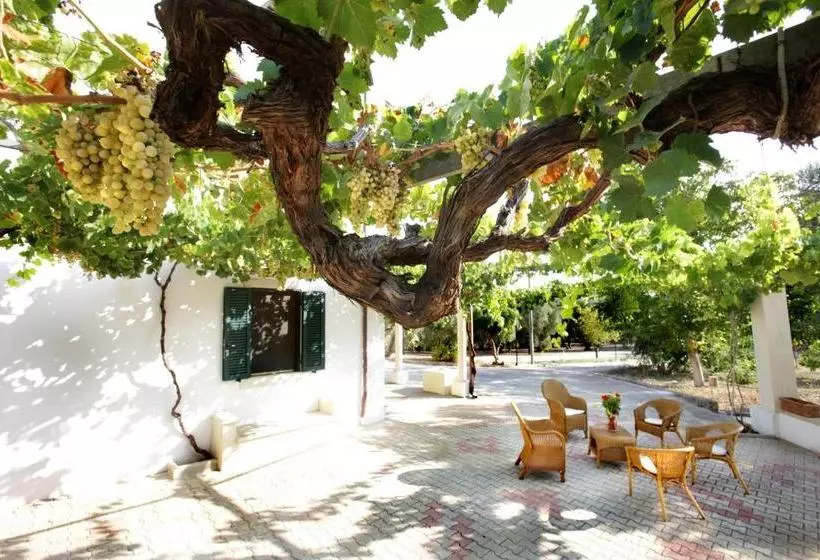B&b Casale Spisari