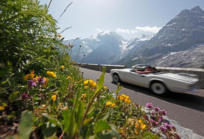 Berghotel Franzenshöhe