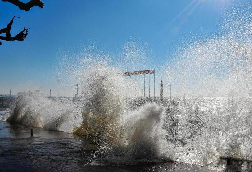 فندق Continental