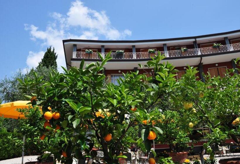 فندق Continental