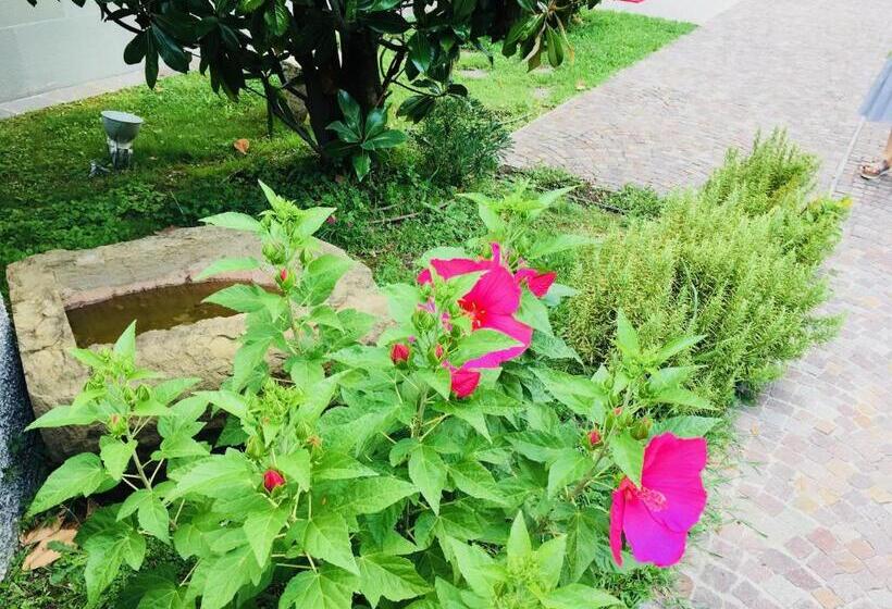 בית מלון כפרי La Sosta