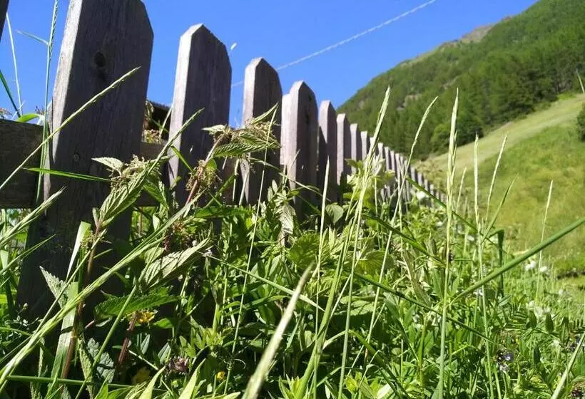 Hotelli Rainhof