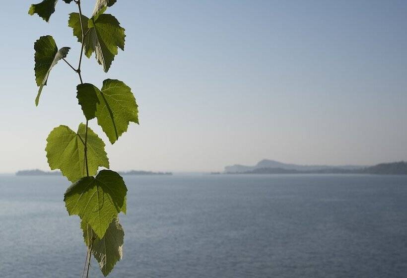 هتل Villa Florida & Suite Apartments