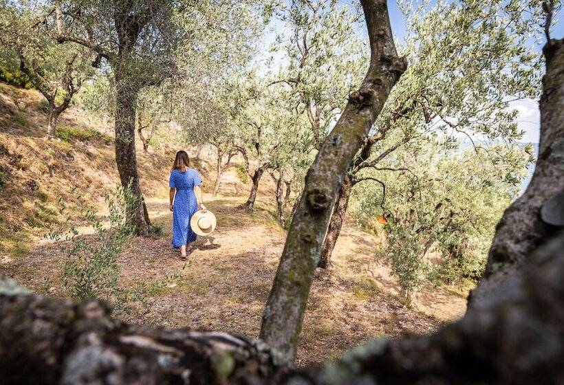 هتل Villa Florida & Suite Apartments