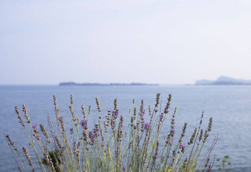 هتل Villa Florida & Suite Apartments