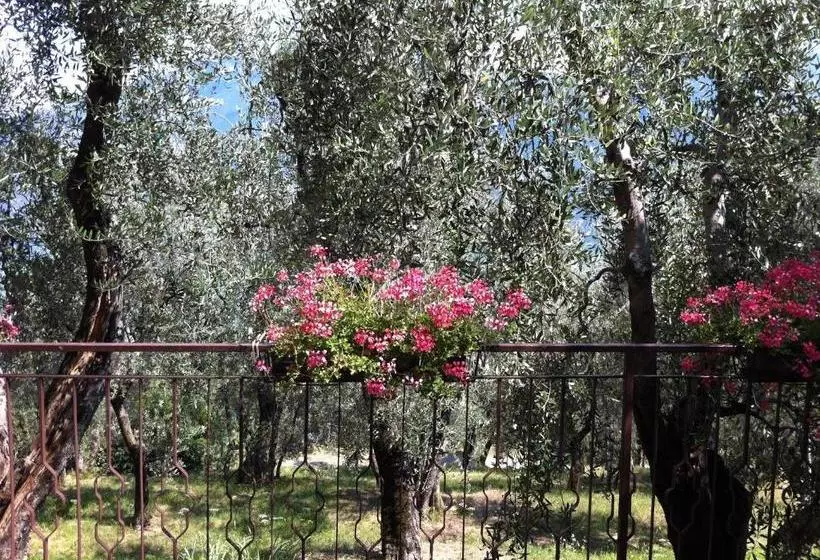 هتل Villa Margherita