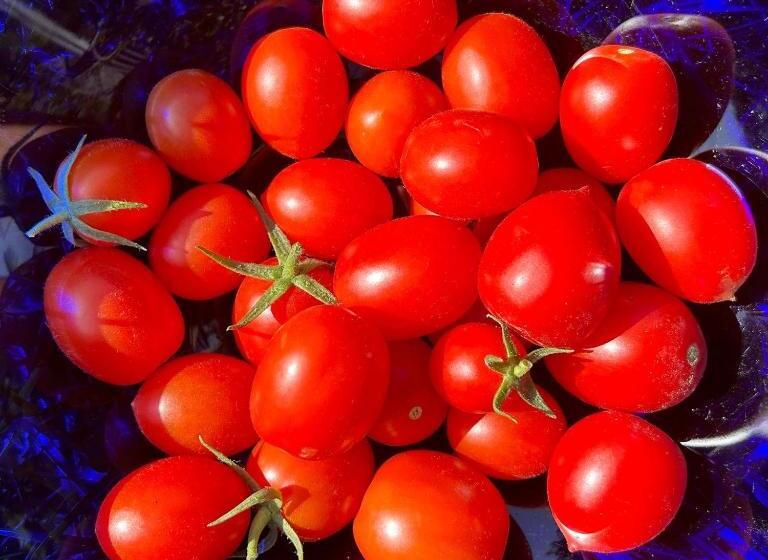 تختخواب و صبحانه Maison Villa Angela