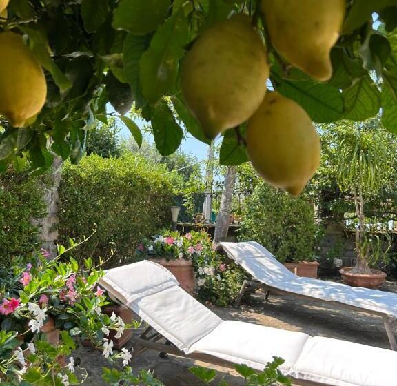 تختخواب و صبحانه Maison Villa Angela