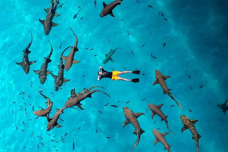 پانسیون Madi Grand Maldives