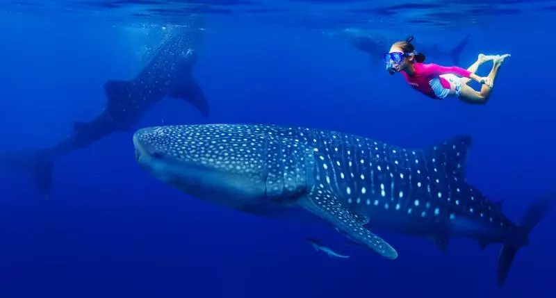 پانسیون Madi Grand Maldives