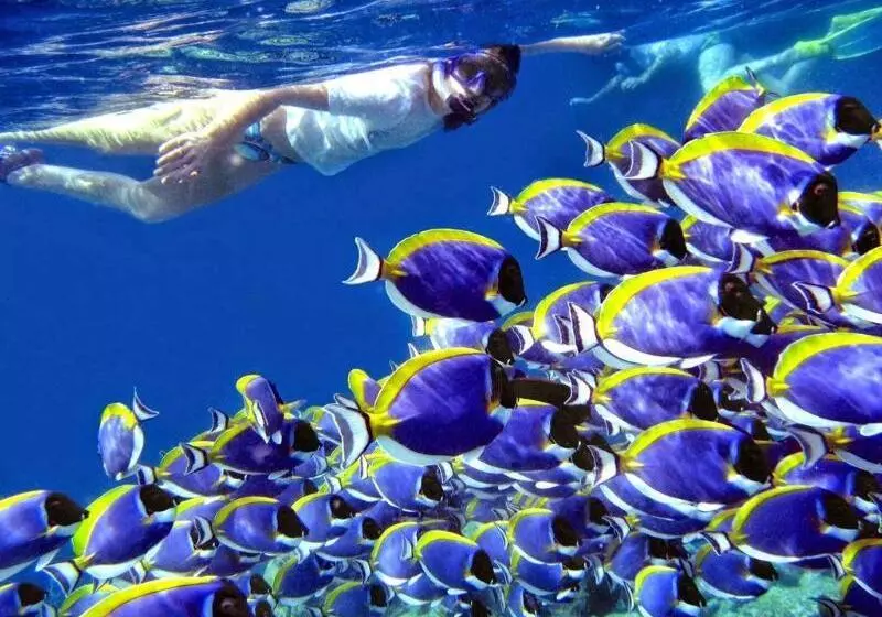 پانسیون Madi Grand Maldives