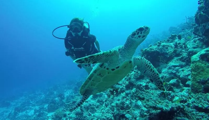 پانسیون Madi Grand Maldives