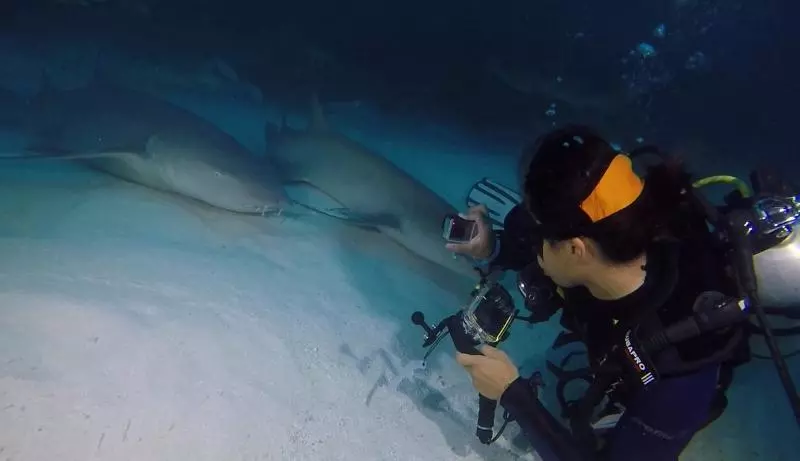 پانسیون Madi Grand Maldives