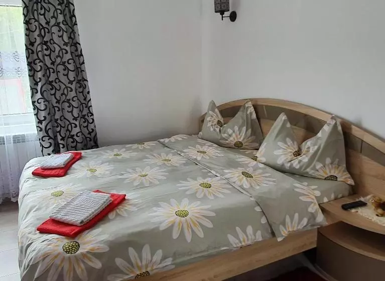 ペンション Casa Guşă