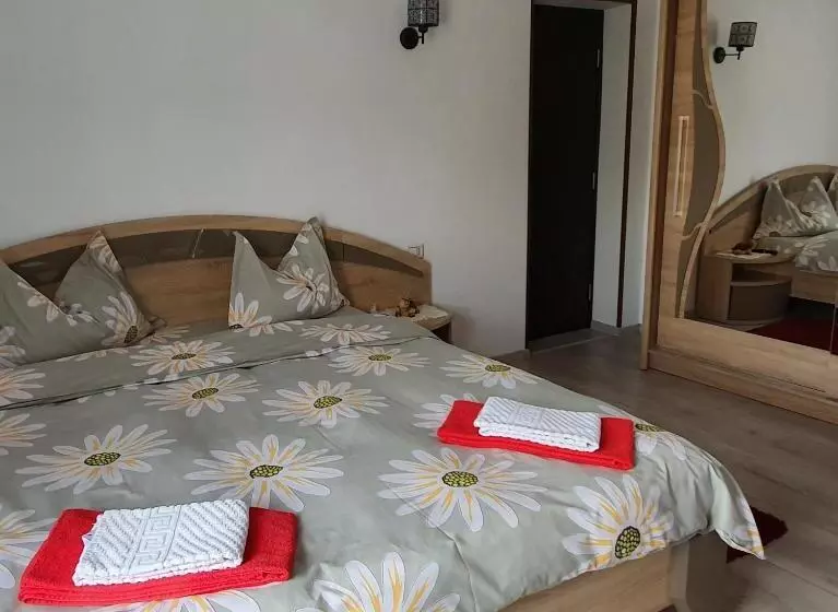 ペンション Casa Guşă