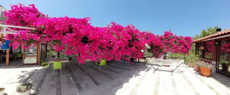 Hotelli Akdeniz Pansiyon