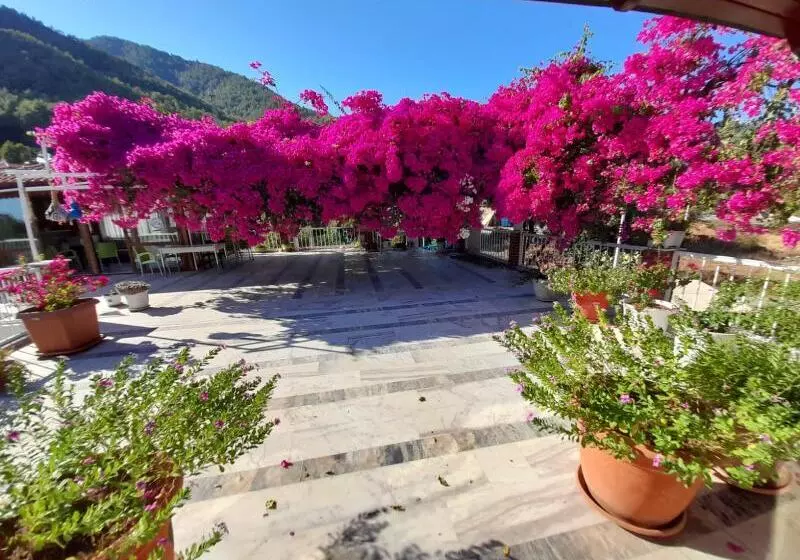 Hotelli Akdeniz Pansiyon