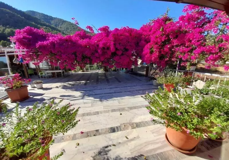 Hotelli Akdeniz Pansiyon