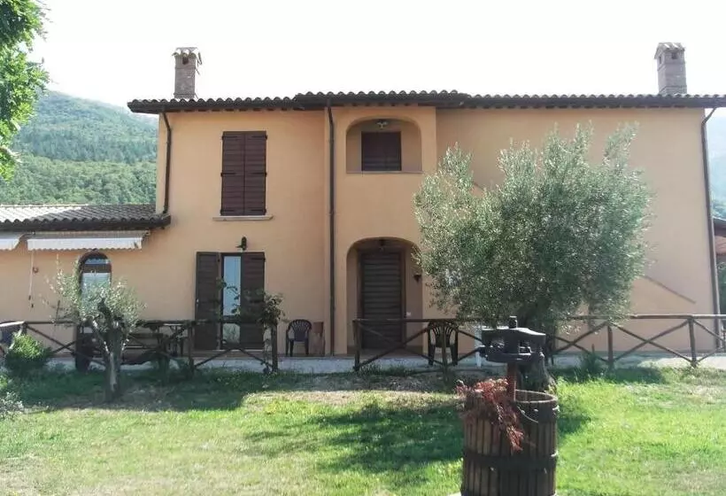 ホテル Azienda Agrituristica Bocci