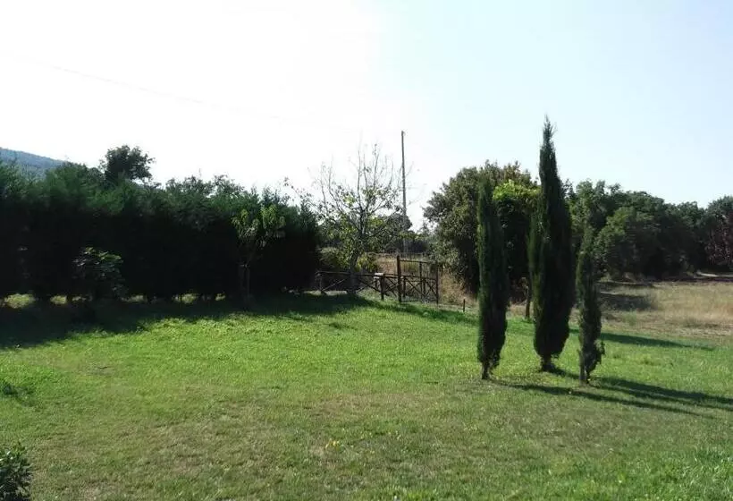 ホテル Azienda Agrituristica Bocci