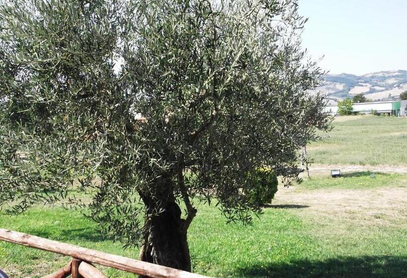בית מלון כפרי Azienda Agrituristica Bocci