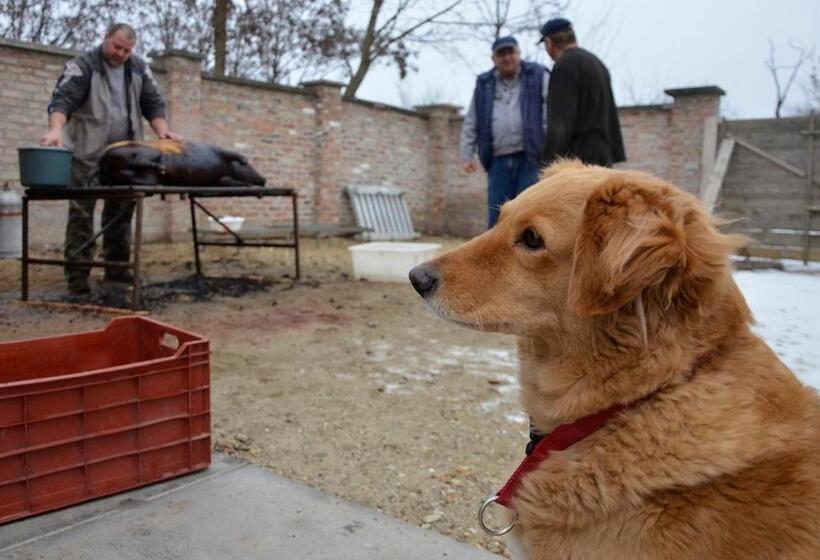 بنسيون Fatornyos Tanyasi Vendégház