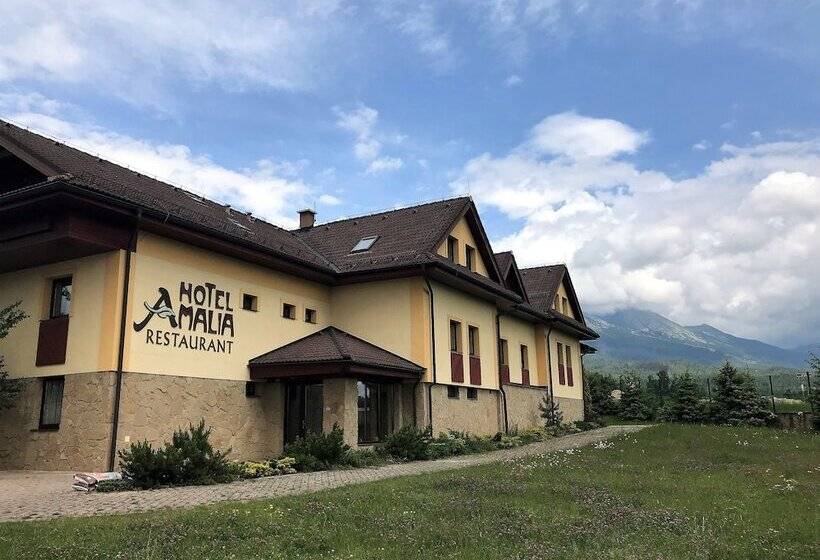 Отель Amalia
