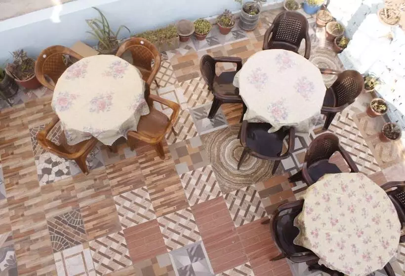 هتل Backpackers Inn