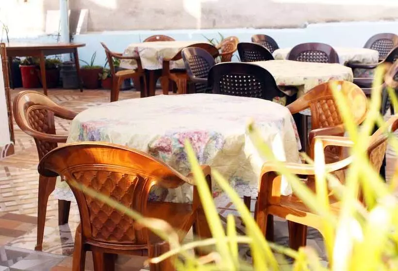 هتل Backpackers Inn