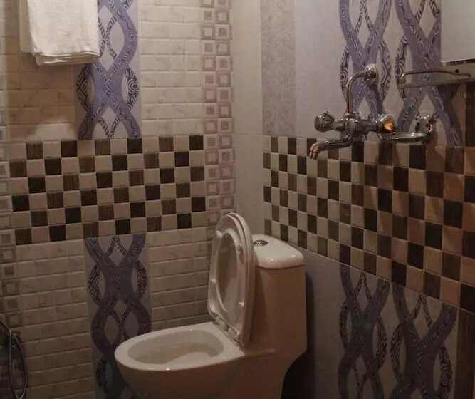 هتل Backpackers Inn