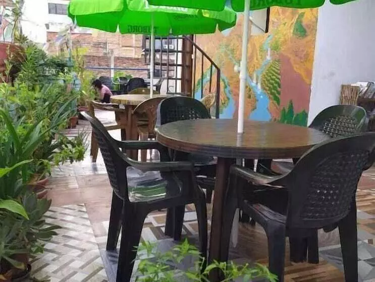 هتل Backpackers Inn