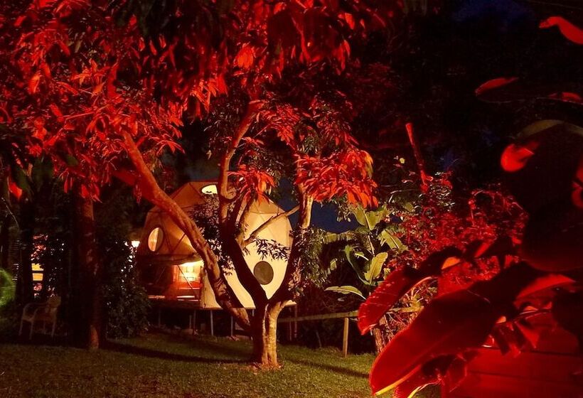 בית מלון כפרי Bubble Dome Village