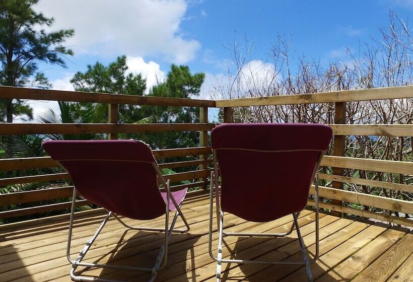 בית מלון כפרי Bubble Dome Village