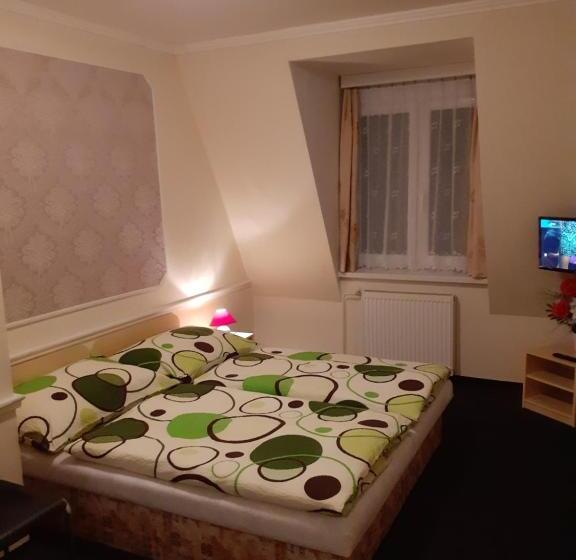 酒店 Pension Velický Zámoček