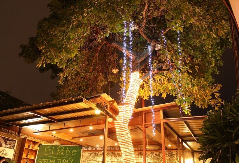 The Purple Tree Bed & Breakfast