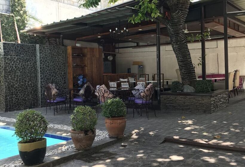 The Purple Tree Bed & Breakfast