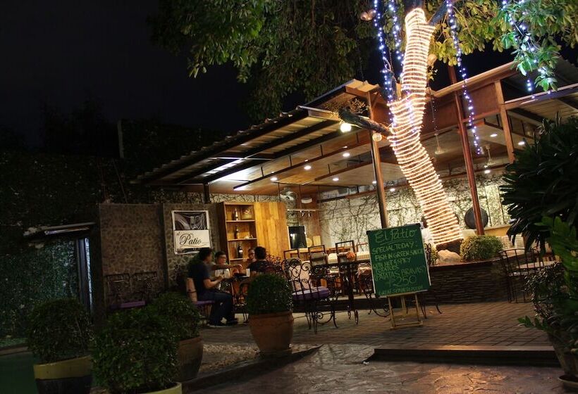 The Purple Tree Bed & Breakfast