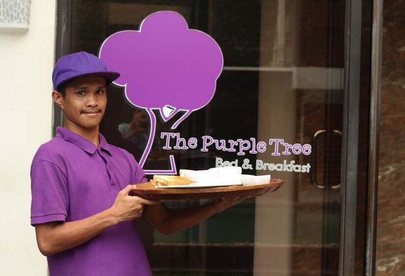 The Purple Tree Bed & Breakfast