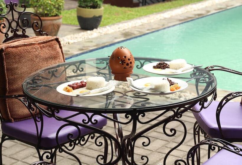 The Purple Tree Bed & Breakfast