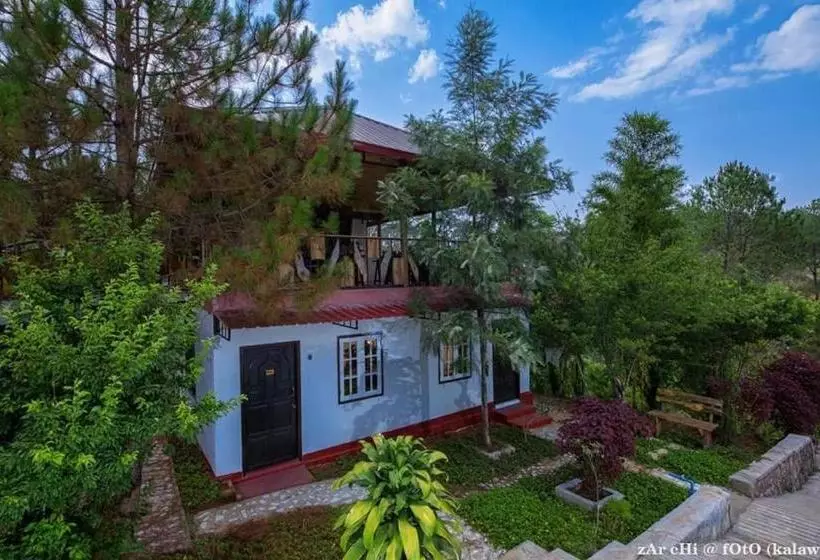 Unique Bed And Breakfast