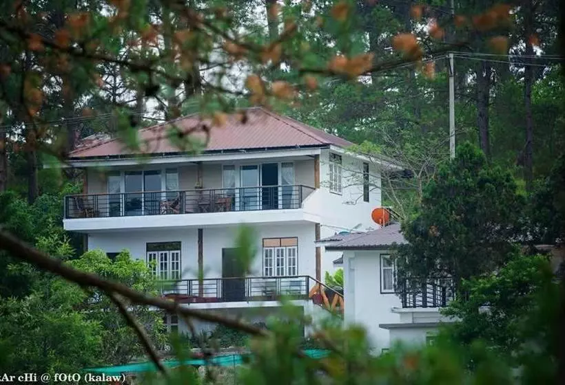Unique Bed And Breakfast