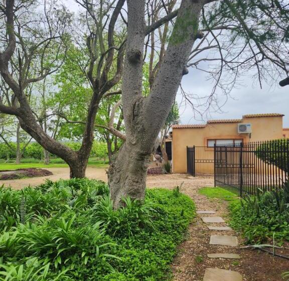 Bed and Breakfast Casa Mia Health Spa And Guesthouse