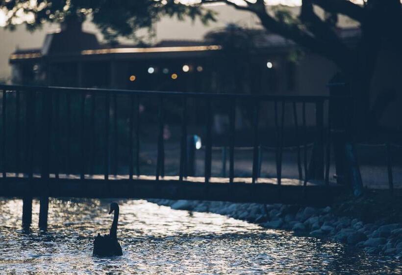 Bed and Breakfast Casa Mia Health Spa And Guesthouse