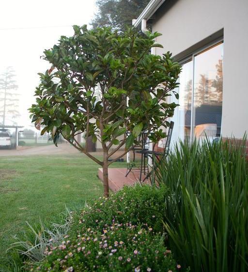 민박 Sneezewood Farm Bed&breakfast And Self Catering Cottage