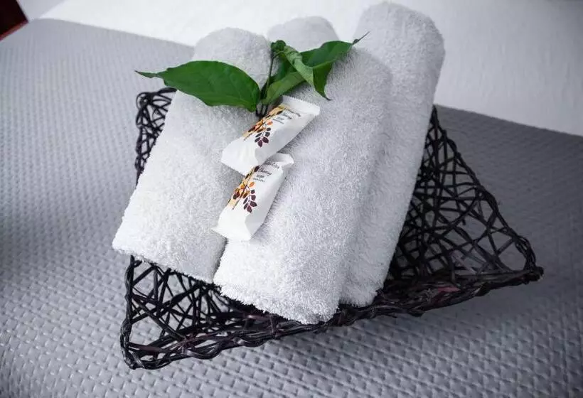Bothabelo Bed And Breakfast